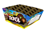 TORTA TROPICAL