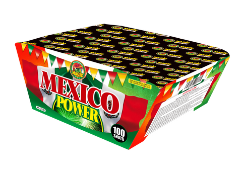 TORTA MEXICO POWER